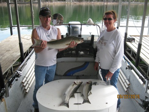 Nice Striped Bass